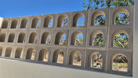 CelosiaSlide2